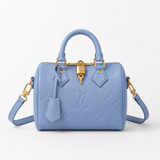 LV Mini Top-Handle Satchel